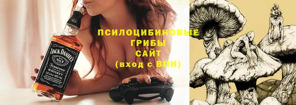 метамфетамин Покачи