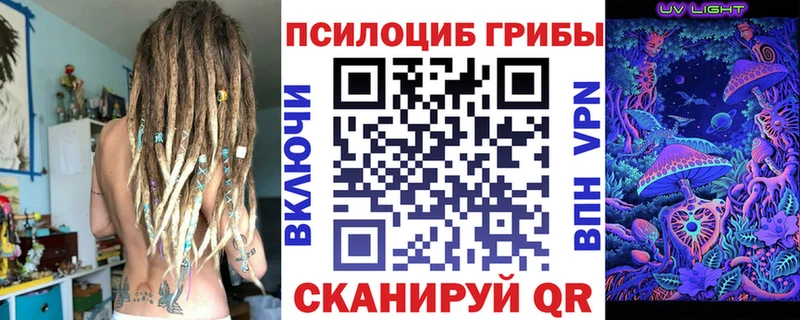 Купить Разумное Галлюциногенные грибы Psilocybe